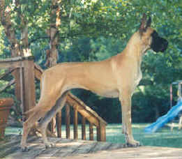helen on her deck