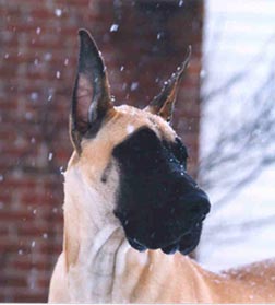 helen in the snow