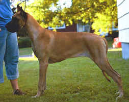 jay @ 7 months